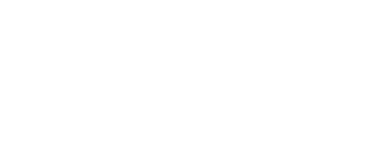 Sales & Strategic Partner Logo
